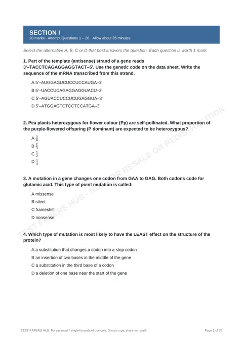 Questions preview