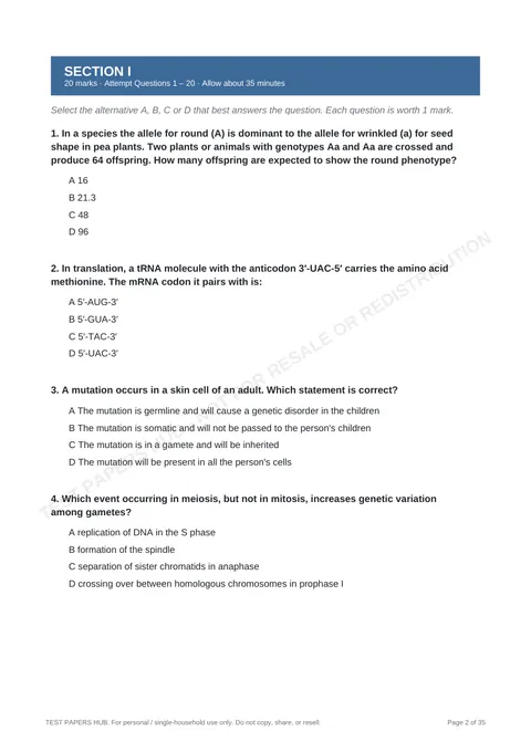 Questions preview